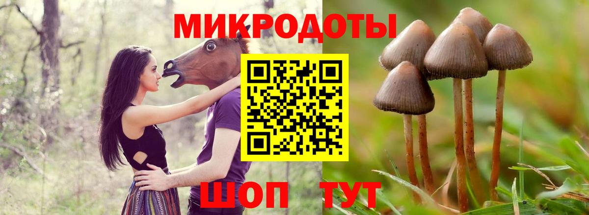 Галлюциногенные грибы ЛСД  Вход с VPN  Сердобск  Галлюциногенные грибы Psilocybe 